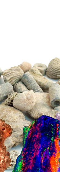Rocks, Fossils & Crystals