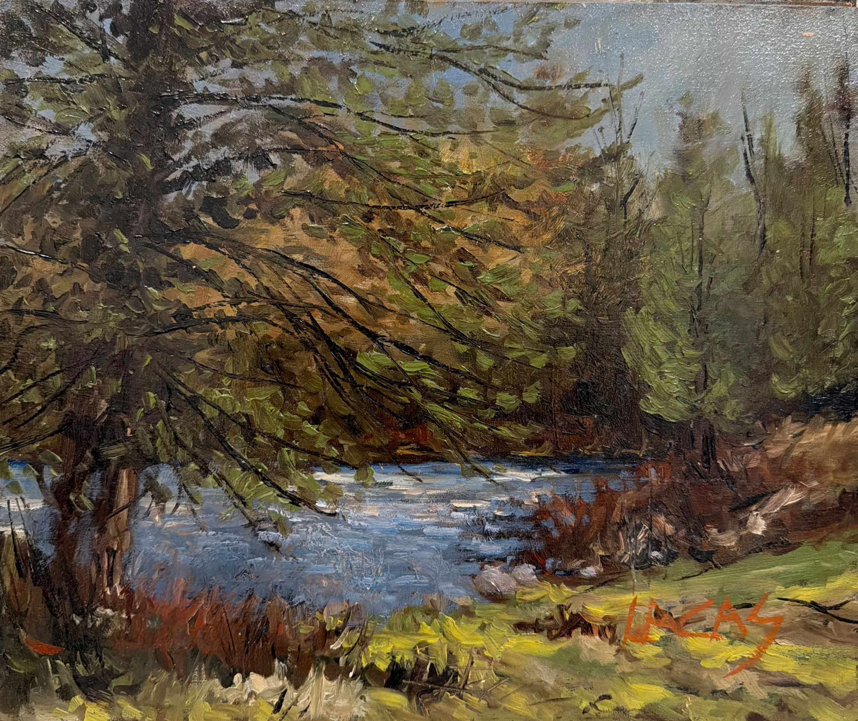 Bord de rivière (St-Sauveur) par François Lacas