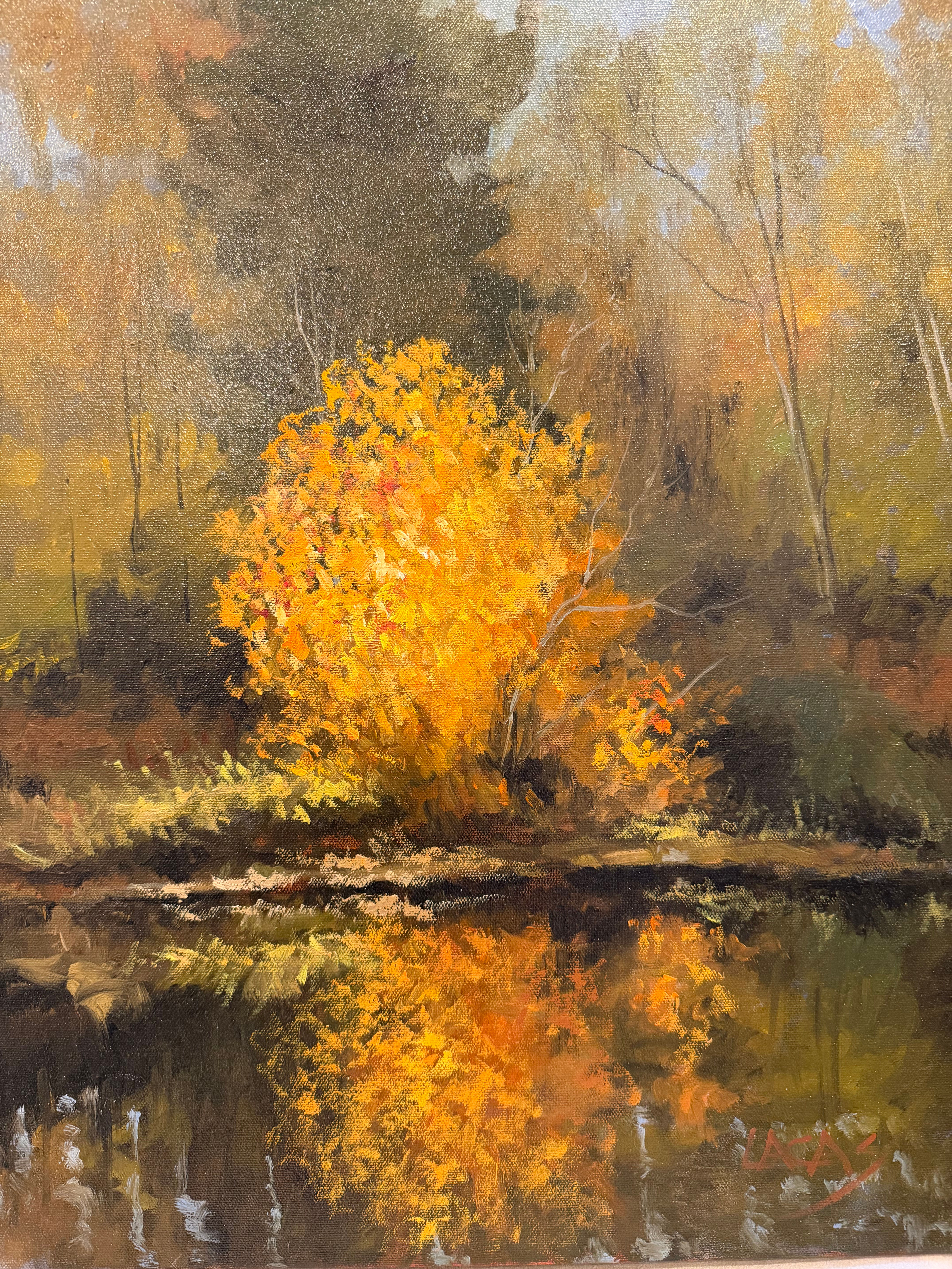 Reflets d’automne par François Lacas