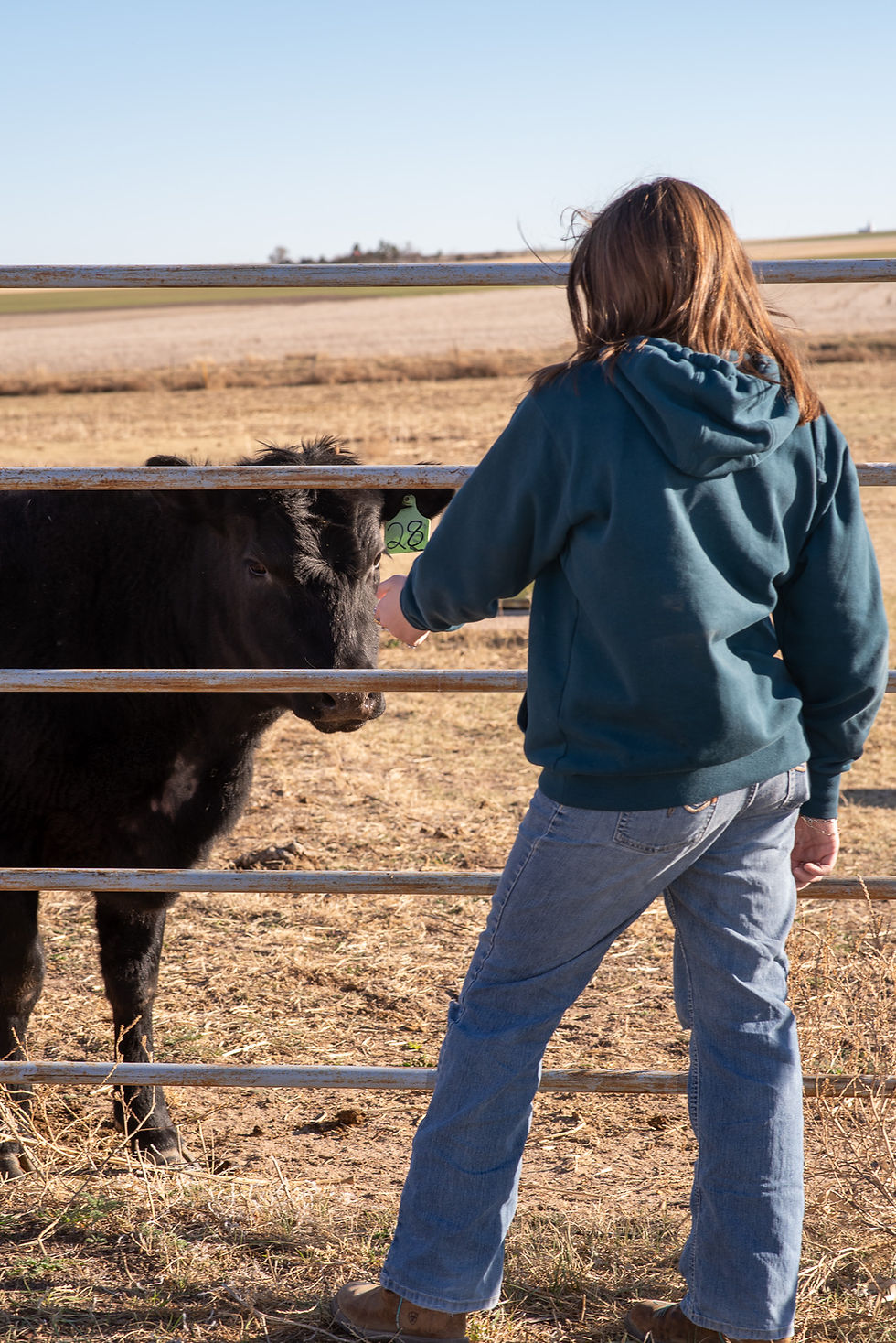 Embrace Country Life with Our New Farm Experiences and Photography Services in Eastern Colorado