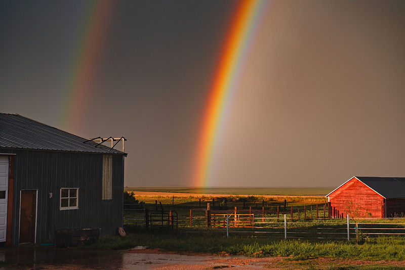 Rainbow Fields.jpg