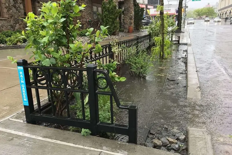 Foto: Departamento de Protección Ambiental de Nueva York