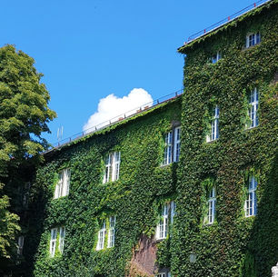Junior Green Building Consultant - Join the Greenbors Team!