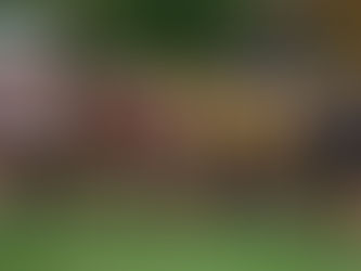 Updates - Week of 10-24-16