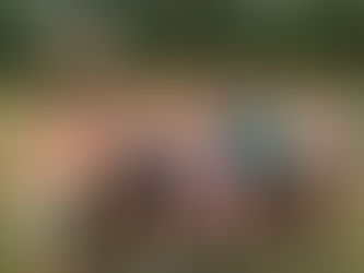 Updates - 8-10-26