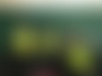 Off-Season Updates - 2-3-20