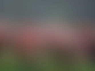 Updates - Week of 10-8-18