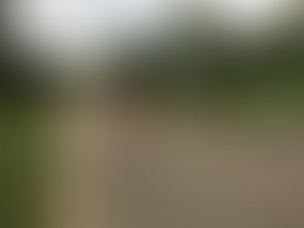 Updates - Week of 8-27-18