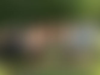 Updates - 7-20-26