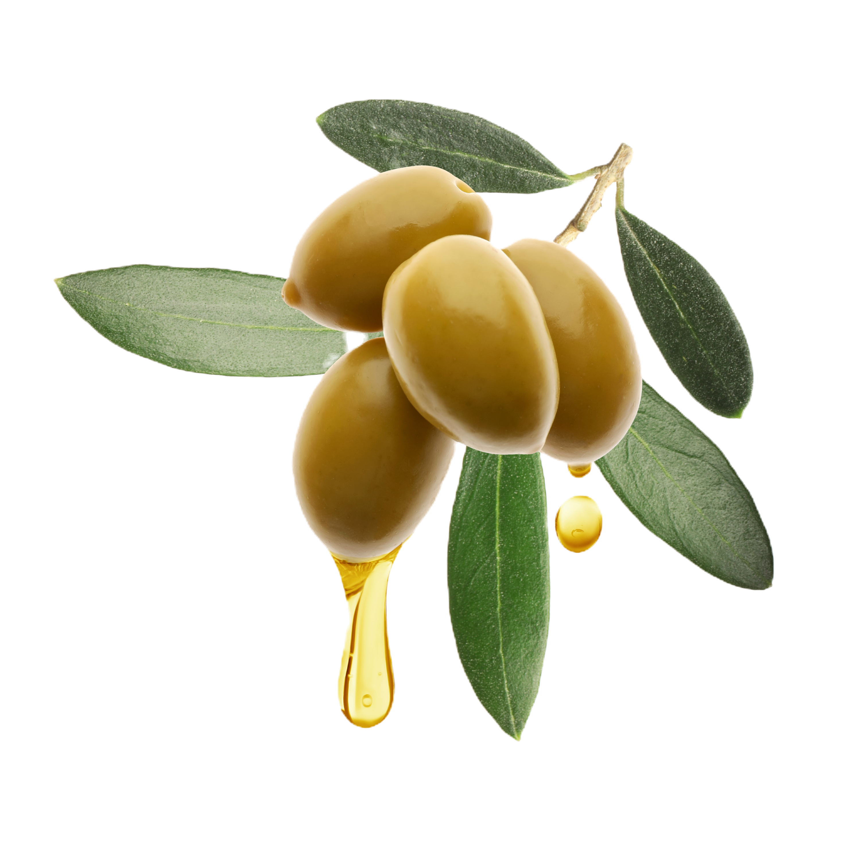 Olives with green leaves and oil drop on white background_edited.png