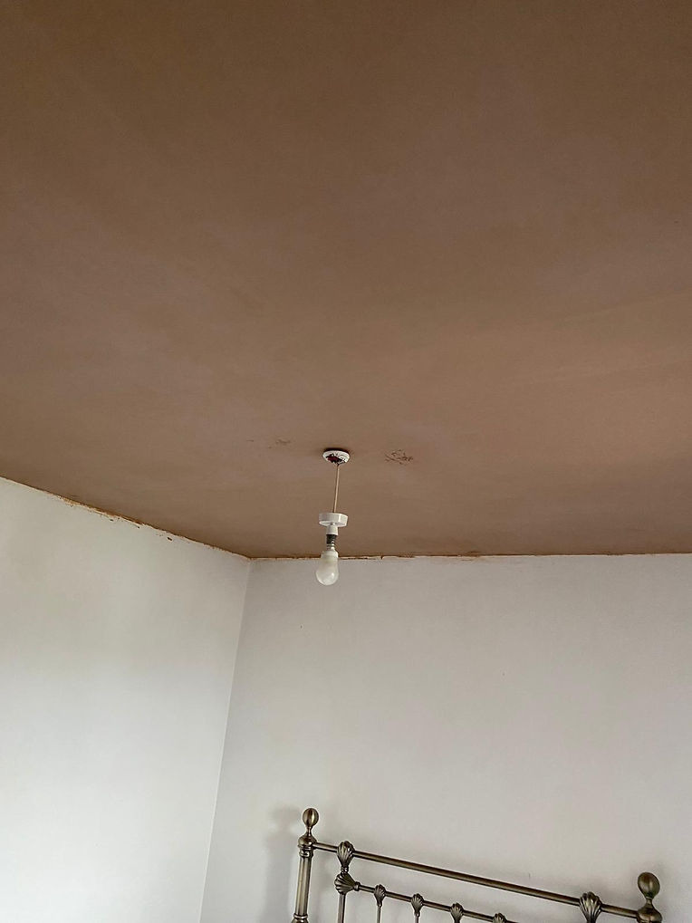 Plastered ceiling