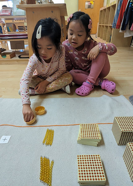 American International Montessori School — Boarding