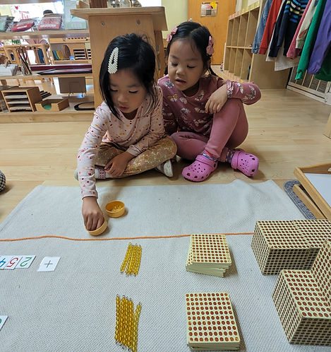 American International Montessori School — Sports