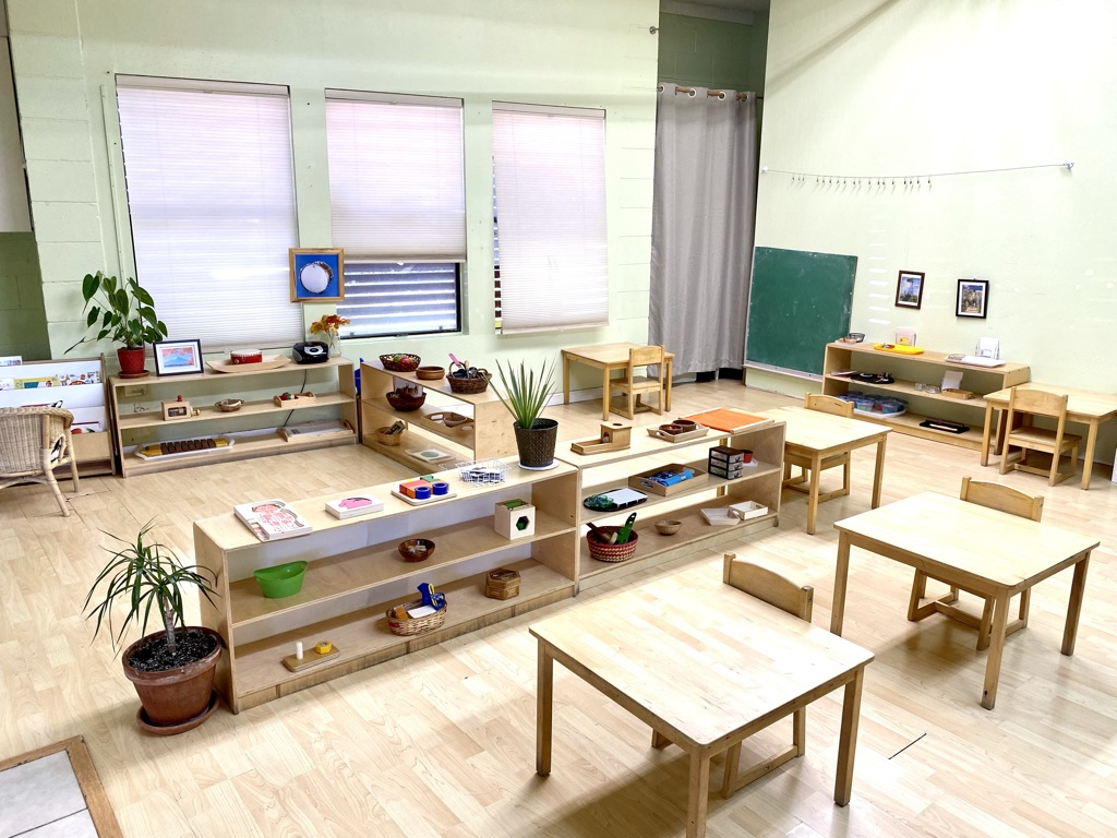 American International Montessori School