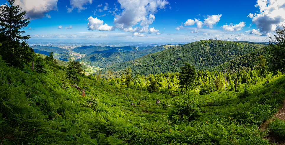 AdobeStock_180208703.jpeg