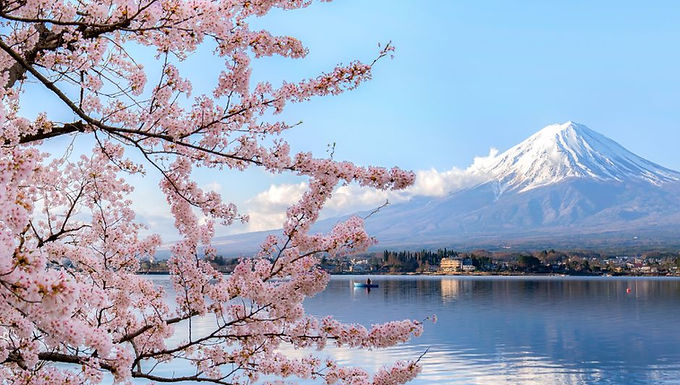 Discover the beauty of Japan with our fully escorted sightseeing and agricultural tour, that takes you through the vibrant cities of Kyoto and Tokyo. Immerse yourself in the rich culture and history of Japan as you explore ancient temples, bustling markets, and stunning landscapes. Our tour will incorporate a trip on the famous Bullet Train, Traditional tea ceremony and dancing, Mount Fuji World Heritage Centre and lot's more