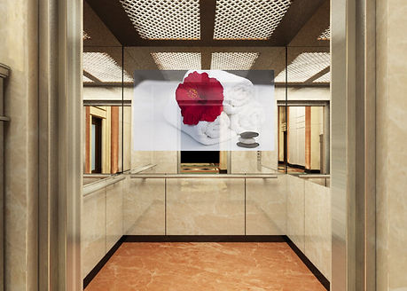 Habillement Ascenseur avec TV Miroir - MIR GALERIE