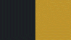 st gallen sneaker.gif