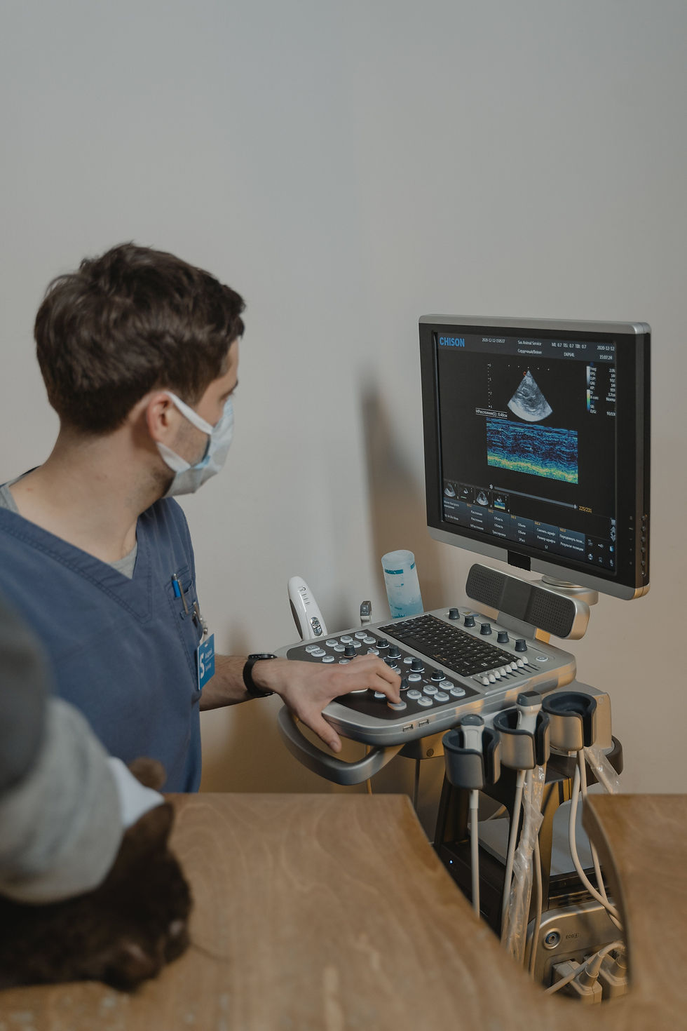 Cardiac & Vascular Ultrasound Program AZ Heart Foundation