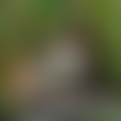 R (RSPB) v Natural England