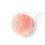 Thumbnail: Konjac Sponge