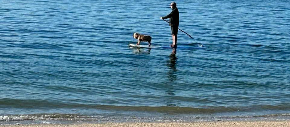 Giving up vs. Giving in