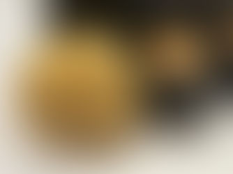 Discover the Benefits of Sea Sponges for Your Skin