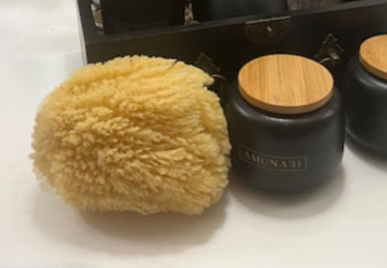 Discover the Benefits of Sea Sponges for Your Skin