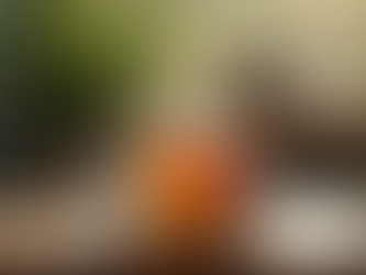 Crafting Your Perfect Mindful Start to the Day