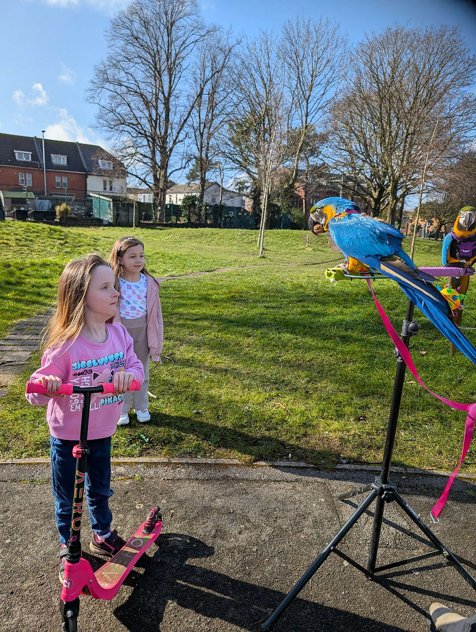 Park Adventures & Playtime Fun! ā The Perfect End to Our Weekend!