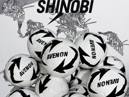 SHINOBI🥷