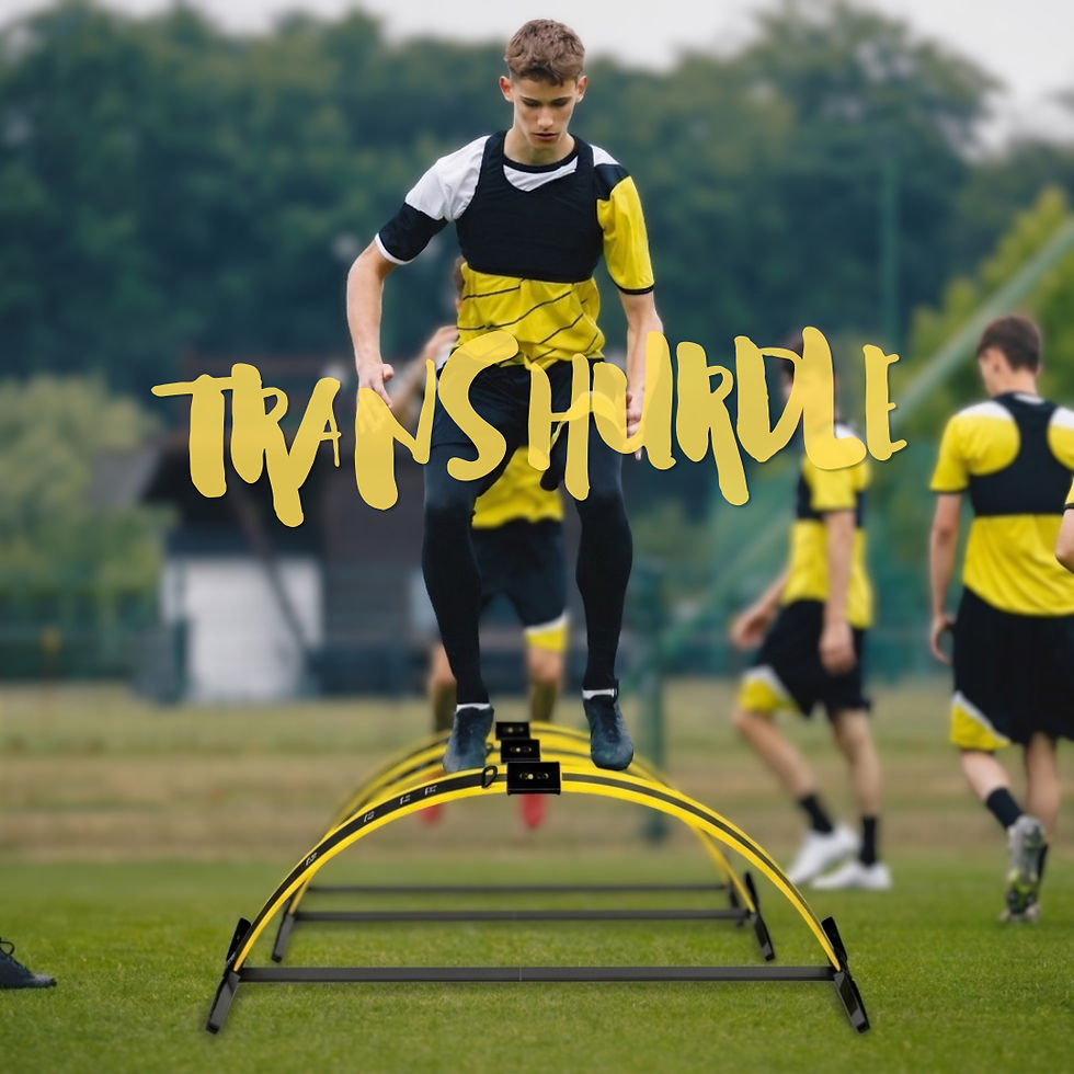 サムネイル： TRANS HURDLE×3