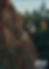 Untitled design (9).png