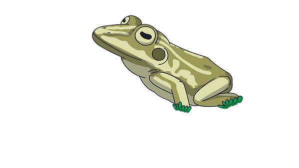 Frog-2.png