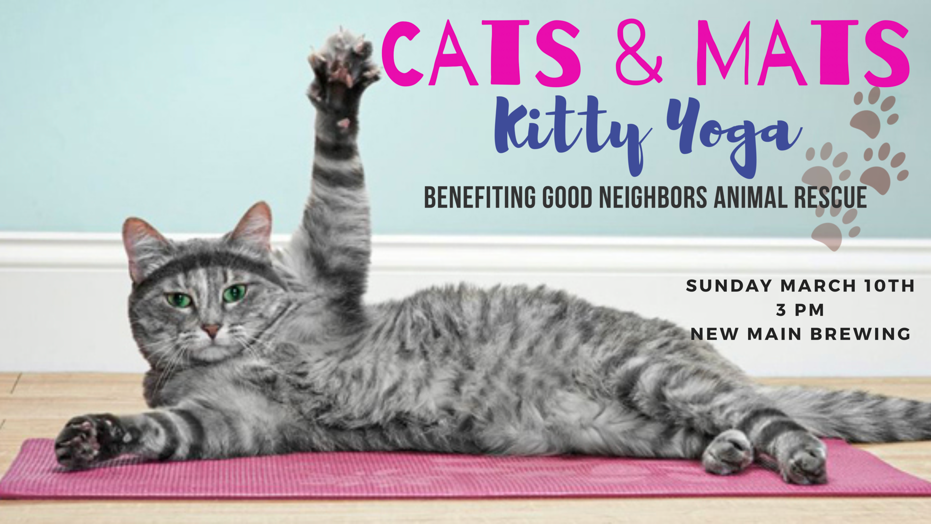 Cats & Mats Kitty Yoga
