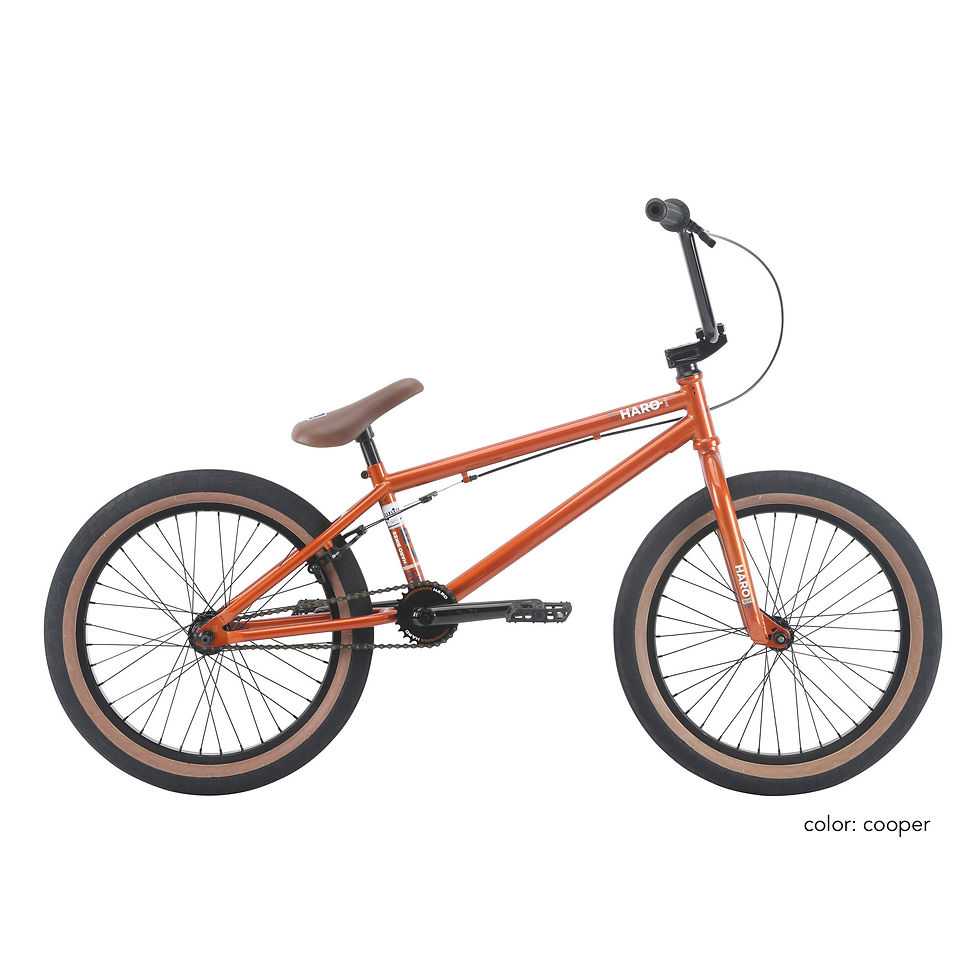 Thumbnail: HRO BIKE BOULEVARD