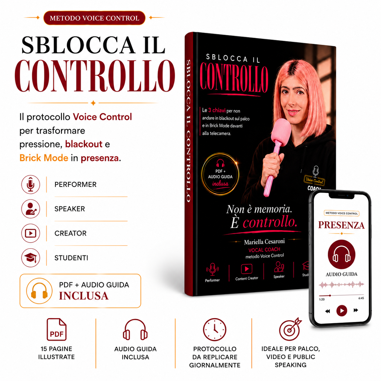 Sblocca il controllo - KIT Protocollo Voce