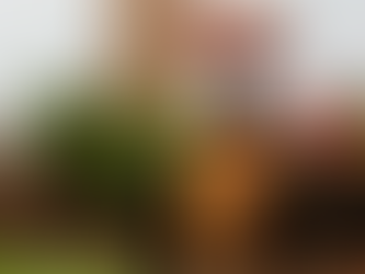 【2026】タイの象と触れ合う完全ガイド！象乗りから保護施設、文化的な意味まで徹底解説