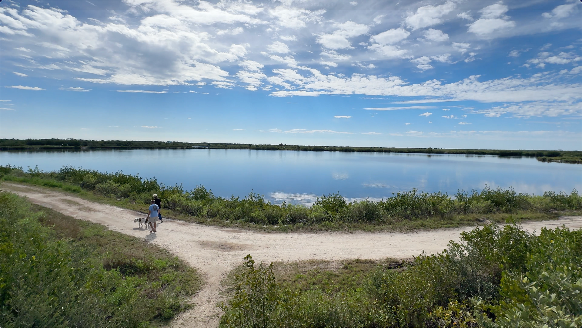 View from the observation tower overlooking the Cruickshank trail and lake