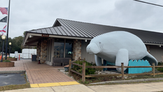 Discovering Homosassa Springs Wildlife State Park: A Guide to Manatees and More