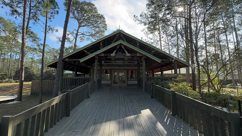 Wooden pavilion surrounded by tall pine trees under a clear blue sky. Sunlight filters through branches, creating a tranquil atmosphere.