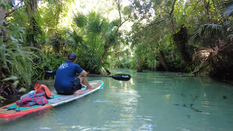 Exploring the Emerald Waters of Rock Springs Run with Get Up and Go Kayaking