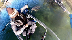 Kayaking with Manatees in Crystal River, Florida: A Must-Do Adventure