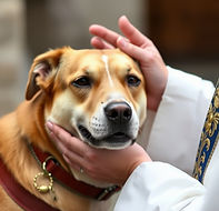Dog being blessed by woman priest hands.jpg