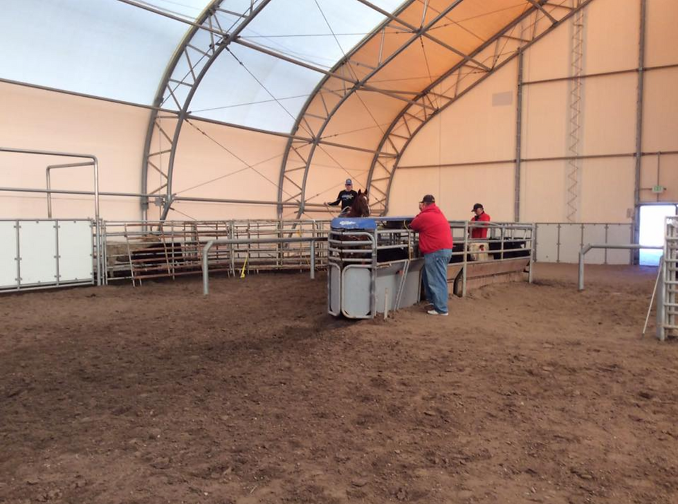 Roping in the arena at Riata Ranch