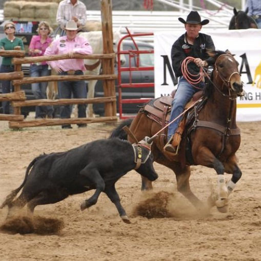 Justin Parish Roping Clinic