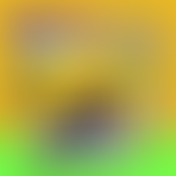 Mikey Leven Pro Model Release