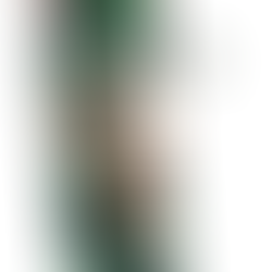 ETHIK Die-Cut Grip Tape Coming Soon..