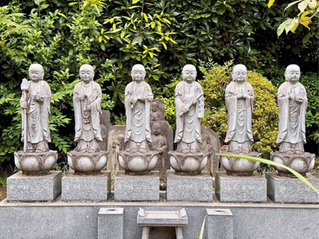 Applications for the Zen and Integrated Buddhist program 2027 are now open.