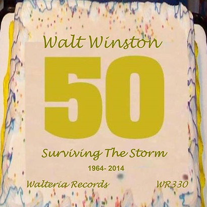 surviving the storm cover pic.jpg